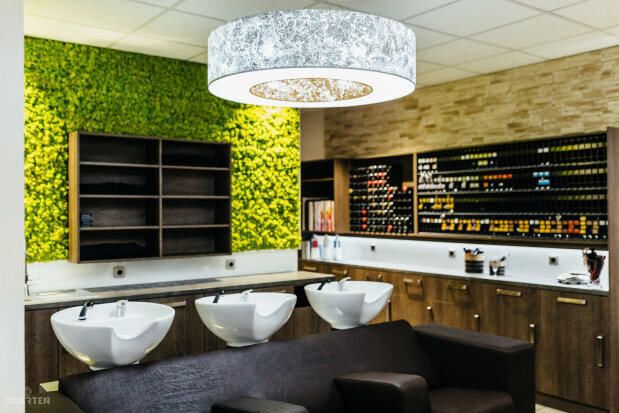 salon1